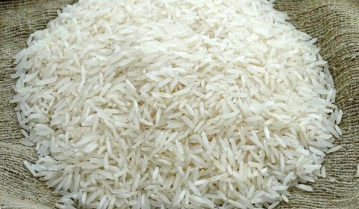 مزایده برنج